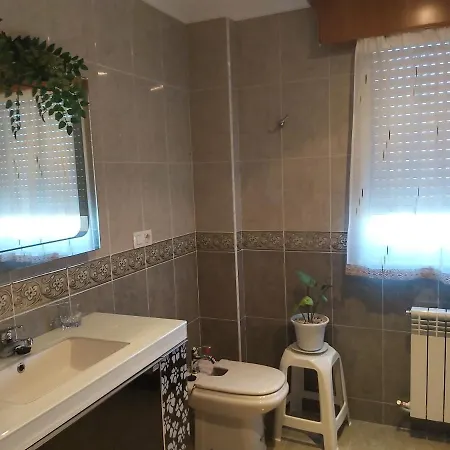 Despertar Con El Sonido De Los Pajaros Melide