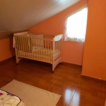 Despertar Con El Sonido De Los Pajaros