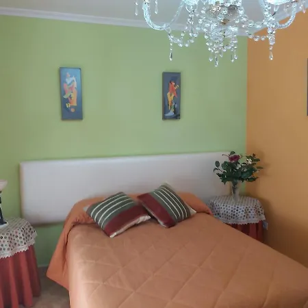 Despertar Con El Sonido De Los Pajaros