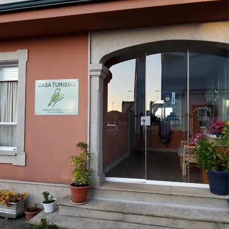 Despertar Con El Sonido De Los Pajaros Melide