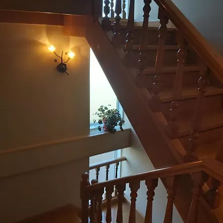 Despertar Con El Sonido De Los Pajaros Melide