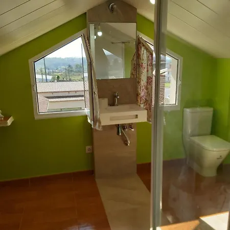 Despertar Con El Sonido De Los Pajaros *