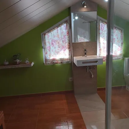 Despertar Con El Sonido De Los Pajaros
