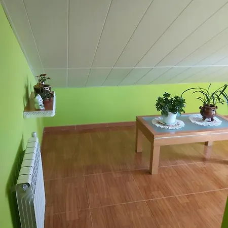 Despertar Con El Sonido De Los Pajaros