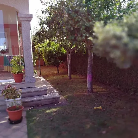 Despertar Con El Sonido De Los Pajaros *