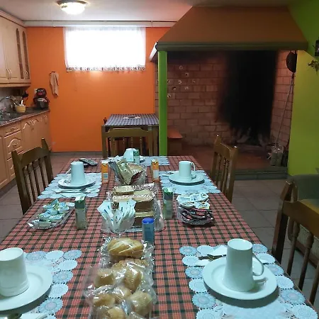 Despertar Con El Sonido De Los Pajaros *